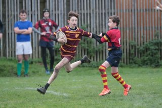 vb_a2074-3.jpg - JPEG - 342.3 ko - 2000×1333 px