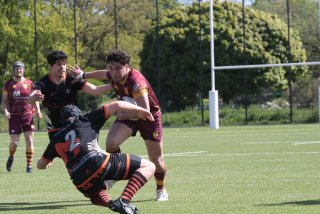 vb_a2079.jpg - JPEG - 444 ko - 2000×1333 px