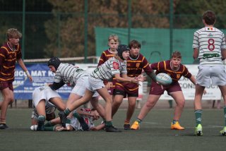 vb_a2115.jpg - JPEG - 342.2 ko - 2000×1333 px