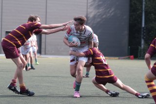 vb_a2145.jpg - JPEG - 335.3 ko - 2000×1333 px