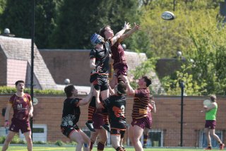 vb_a2186-2.jpg - JPEG - 382.3 ko - 2000×1333 px