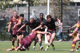 vb_a2261.jpg - JPEG - 400.8 ko - 2000×1333 px