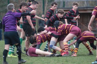 vb_a2311-2.jpg - JPEG - 415.8 ko - 2000×1333 px