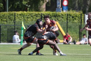 vb_a2355.jpg - JPEG - 385.7 ko - 2000×1333 px