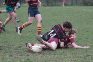 vb_a2360-3.jpg - JPEG - 380.5 ko - 2000×1333 px