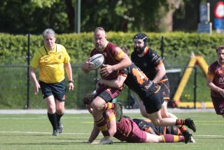 vb_a2363-2.jpg - JPEG - 372.5 ko - 2000×1333 px