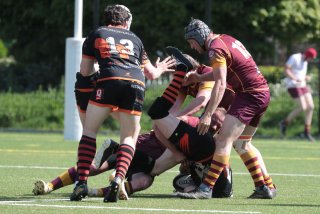 vb_a2438-2.jpg - JPEG - 381.1 ko - 2000×1333 px