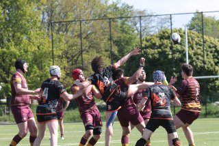 vb_a2449.jpg - JPEG - 457.9 ko - 2000×1333 px