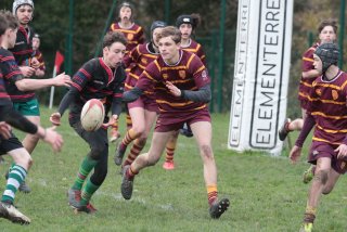 vb_a2458.jpg - JPEG - 417.3 ko - 2000×1333 px