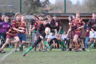 vb_a2474.jpg - JPEG - 382.2 ko - 2000×1333 px