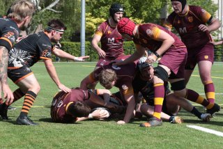 vb_a2488.jpg - JPEG - 512.3 ko - 2000×1333 px