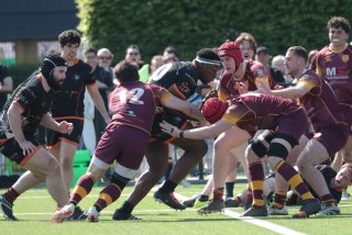 vb_a2548.jpg - JPEG - 375.8 ko - 2000×1333 px