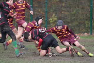 vb_a2579.jpg - JPEG - 392.7 ko - 2000×1333 px