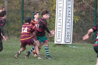 vb_a2619.jpg - JPEG - 369.2 ko - 2000×1333 px