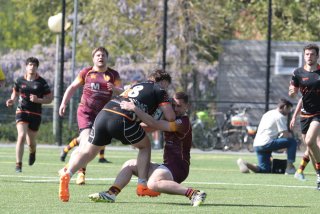 vb_a2862.jpg - JPEG - 417.9 ko - 2000×1333 px