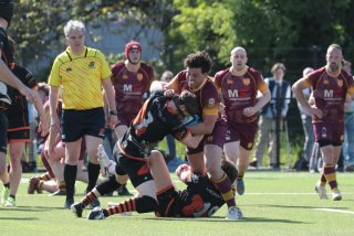 vb_a2903-2.jpg - JPEG - 397.3 ko - 2000×1333 px