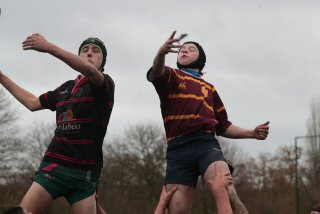 vb_a2941-2.jpg - JPEG - 213.1 ko - 2000×1333 px