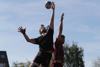 vb_a2962.jpg - JPEG - 191.9 ko - 2000×1333 px