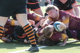 vb_a2968.jpg - JPEG - 407.3 ko - 2000×1333 px