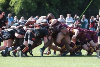 vb_a2992.jpg - JPEG - 404.5 ko - 2000×1333 px