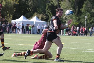 vb_a3026.jpg - JPEG - 388.8 ko - 2000×1333 px