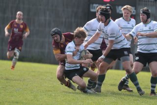 vb_a3772.jpg - JPEG - 331.3 ko - 2000×1333 px