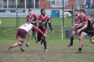 vb_a9713.jpg - JPEG - 380.6 ko - 2000×1333 px