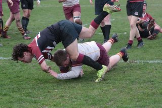 vb_a9995-2.jpg - JPEG - 444.3 ko - 2000×1333 px