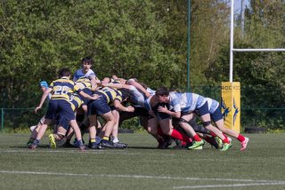 xrugby_roc_-_rcl_25_april_2026-30_129_.jpg - JPEG - 505.8 ko - 2000×1334 px