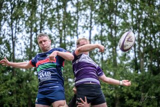 z63_4279.jpg - JPEG - 252.1 ko - 1024×683 px