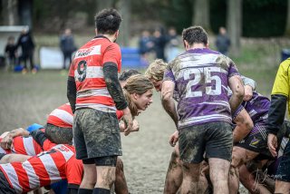 z63_6601.jpg - JPEG - 213.2 ko - 1024×683 px