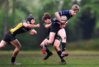 dsc_2989-5.jpg - JPEG - 337.4 ko - 2000×1348 px