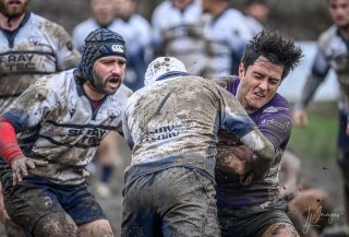 _nz87393.jpg - JPEG - 210.2 ko - 1024×693 px