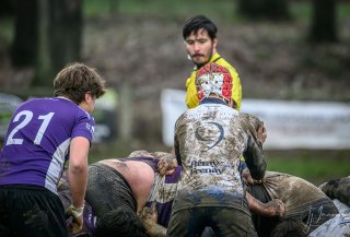 _nz87470-2.jpg - JPEG - 192 ko - 1024×694 px