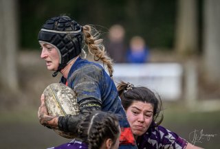 _nz88552.jpg - JPEG - 131 ko - 1024×692 px