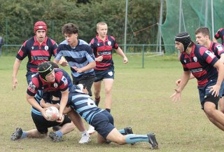 gp5f2333.jpg - JPEG - 528.2 ko - 2000×1354 px