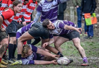 _nz87559.jpg - JPEG - 280.2 ko - 1024×698 px