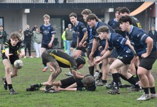 dsc_1963-4.jpg - JPEG - 294.8 ko - 1500×1026 px