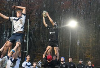 dsc_4475-3.jpg - JPEG - 445.7 ko - 2000×1367 px