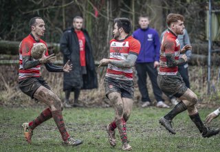 04022024-_nz88074-avec_accentuation-bruit.jpg - JPEG - 740.3 ko - 1024×707 px