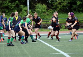 img_8510-2.jpg - JPEG - 420.7 ko - 2000×1379 px