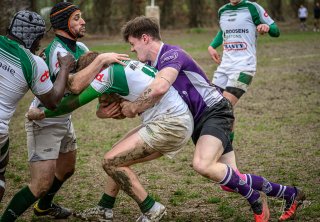 _nz80891-avec_accentuation-bruit.jpg - JPEG - 267 ko - 1024×710 px