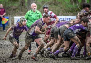 _nz82481-avec_accentuation-bruit.jpg - JPEG - 287.6 ko - 1024×709 px