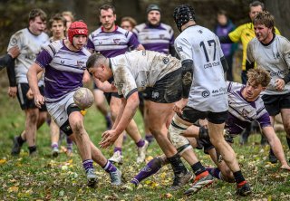 _nz85999.jpg - JPEG - 301.5 ko - 1024×710 px