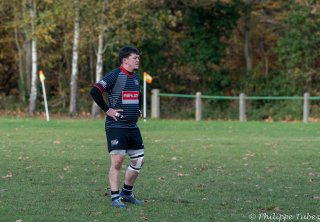 dsc08580.jpg - JPEG - 317.7 ko - 2000×1189 px