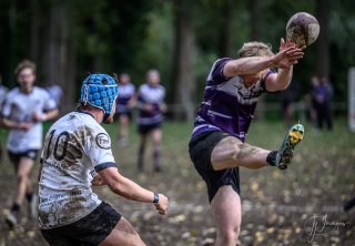 z63_4640.jpg - JPEG - 151.8 ko - 1024×709 px