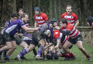 04022024-_nz87815-avec_accentuation-bruit.jpg - JPEG - 804.7 ko - 1024×711 px