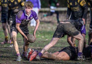 _nz88139.jpg - JPEG - 234.8 ko - 1024×711 px