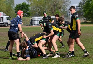 dsc_2041-2.jpg - JPEG - 399.2 ko - 1500×1042 px