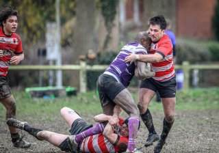 _nz87610.jpg - JPEG - 204.5 ko - 1024×716 px